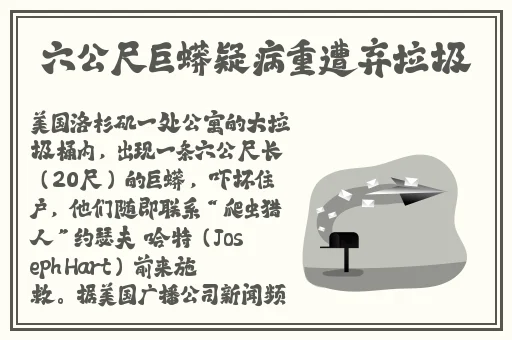 忘忧草社区WWW日本高清图片